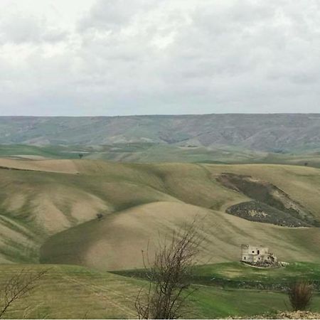 B&B Mantegna Irsina Mt Exteriér fotografie