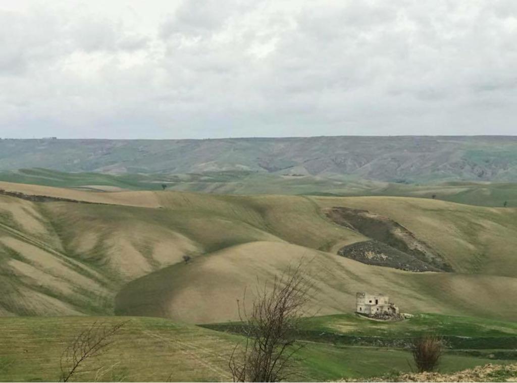 B&B Mantegna Irsina Mt Exteriér fotografie